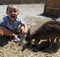 Animal Farm Goolwa - Attractions Perth