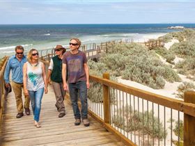 Seal Bay Conservation Park - Attractions Perth 3