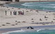 Seal Bay Conservation Park - thumb 2