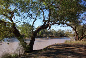 Charleville - 27 Mile Warrego River Fishing Spot - Attractions Perth 4