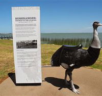 Birdman of the Coorong - Attractions Perth