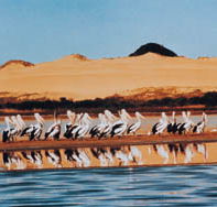 Coorong National Park - Attractions Perth