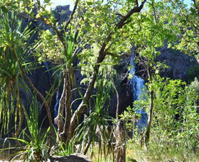 Manngarre Rainforest Walk - Attractions Perth 1