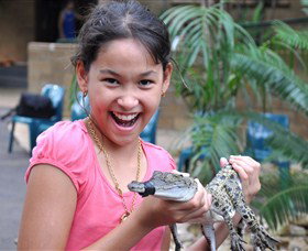 Crocodylus Park - Attractions Perth 1