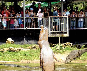 Knuckey Lagoon NT Attractions Perth