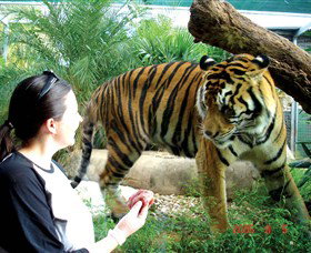 Crocodylus Park - Attractions Perth 2