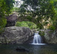 Paluma and Crystal Creek Rainforest - Attractions Perth