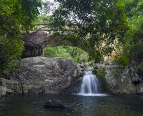 Paluma And Crystal Creek Rainforest - Attractions Perth 0