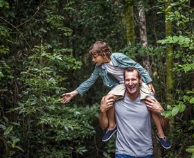 Paluma And Crystal Creek Rainforest - Attractions Perth 1