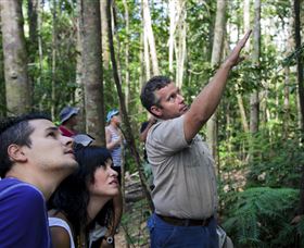 Paluma And Crystal Creek Rainforest - Attractions Perth 2