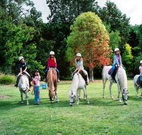 Limestone Coast Horseriding - Attractions Perth
