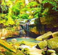 Carnarvon Gorge Carnarvon National Park - Attractions Perth