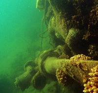 Wreck Diving at Magnetic Island - Attractions Perth