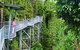 Mamu Tropical Skywalk - thumb 0