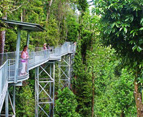 Mamu Tropical Skywalk - Attractions Perth 0