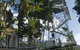Mamu Tropical Skywalk - thumb 1