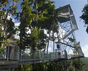 Mamu Tropical Skywalk - Attractions Perth 1