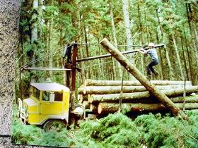 Nangwarry Forestry And Logging Museum - Attractions Perth 3