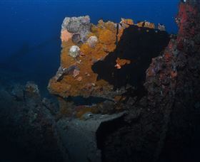 Lady Bowen Dive Site - Attractions Perth 0