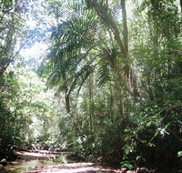Mount Lewis National Park - Attractions Perth