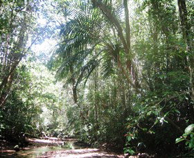 Mount Lewis National Park - Attractions Perth 0
