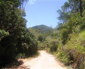 Mount Lewis National Park - Attractions Perth 2