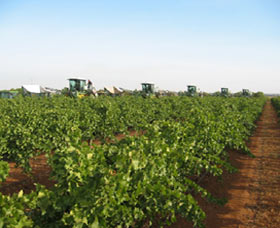 Warburn Estate - Attractions Perth 1