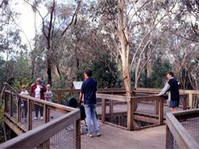 Valley Lake Conservation Park - Attractions Perth 1