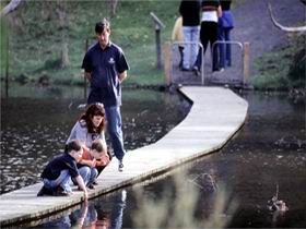 Valley Lake Conservation Park - Attractions Perth 2