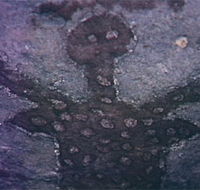 Quinkan Reserves Ancient Rock Art - Attractions Perth