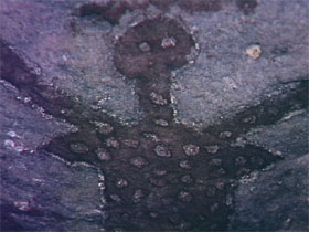 Quinkan Reserves Ancient Rock Art - Attractions Perth 0