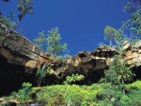 Blackdown Tableland National Park - Attractions Perth 1