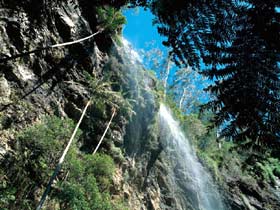Blackdown Tableland National Park - Attractions Perth 2