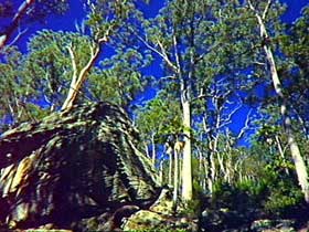 Blackdown Tableland National Park - Attractions Perth 3