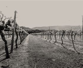 Mount Dryden VIC Attractions Perth