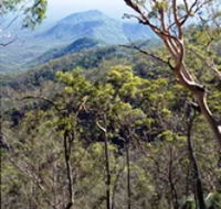 Crediton State Forest - Attractions Perth