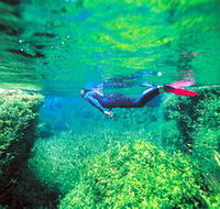 Piccaninnie Ponds Conservation Park - Attractions Perth