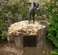 Dingo Statue - Attractions Perth