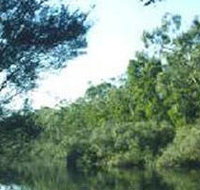 Crawford River Regional Park - Attractions Perth