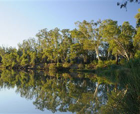 IWaterSki - Attractions Perth 0