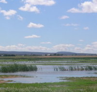 Fivebough Wetlands