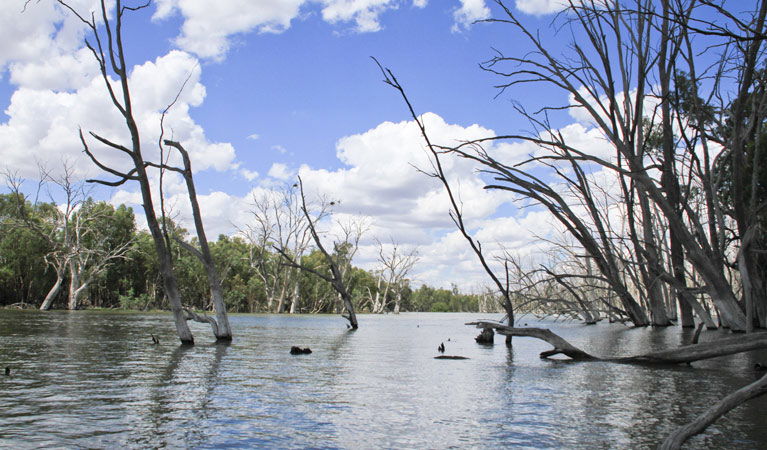 Bundure NSW Attractions Perth