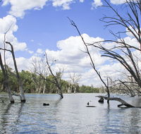 Murrumbidgee Valley National Park - Attractions Perth