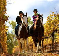 Billabong Ranch - Attractions Perth