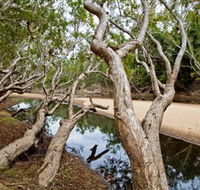 Oyala Thumotang National Park CYPAL - Attractions Perth