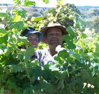 Wimmera Hills Winery - Attractions Perth