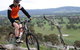 Wimmera Hills Winery - thumb 2
