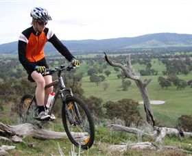 Wimmera Hills Winery - Attractions Perth 2