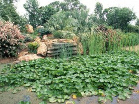 Duaringa ACT Attractions Perth