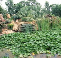 Mackenzie Park - Attractions Perth